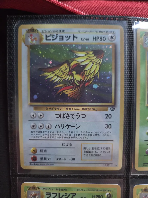 Pidgeot