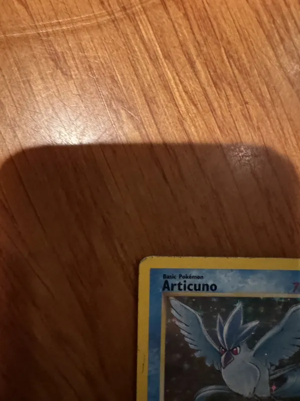 Articuno foto 4