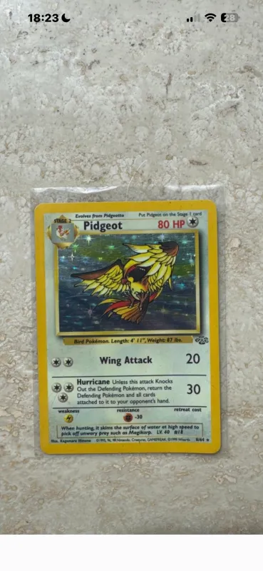 Pidgeot