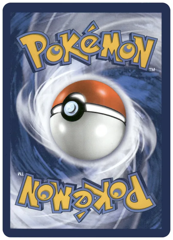Salandit foto 2