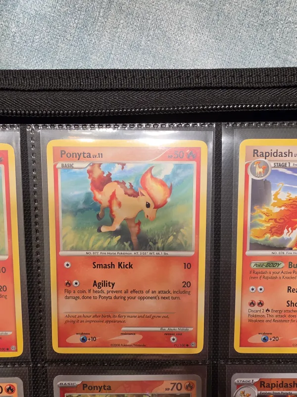 Ponyta