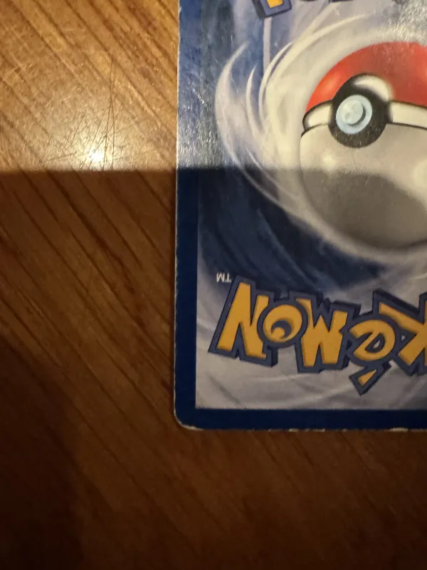Articuno foto 8