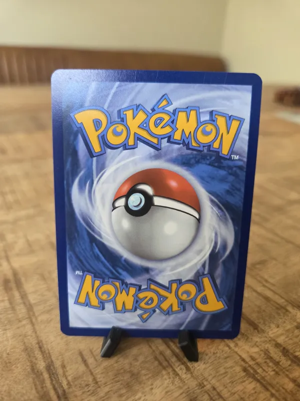 Krokorok foto 2