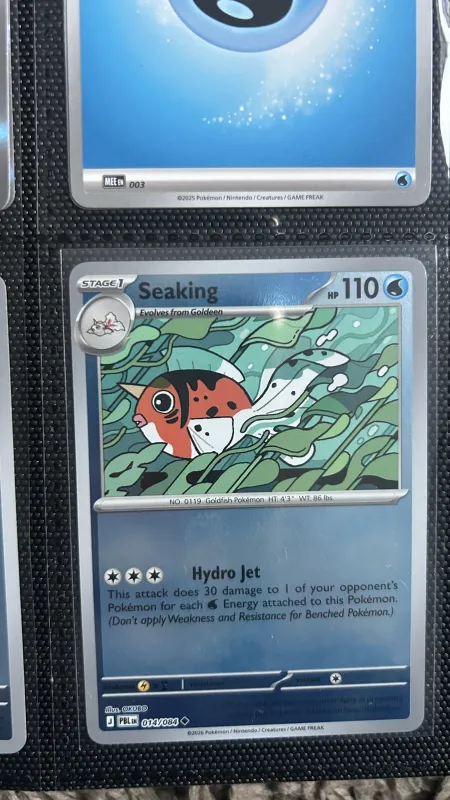 Seaking