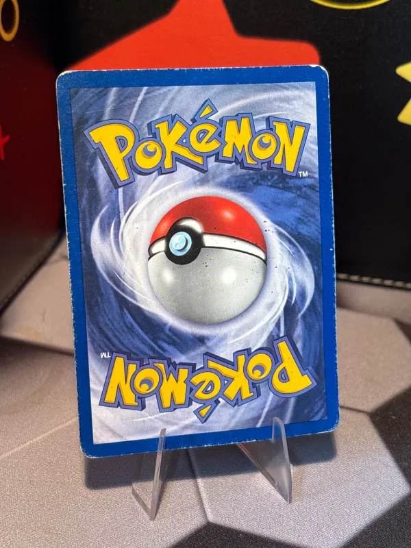 Paras foto 2