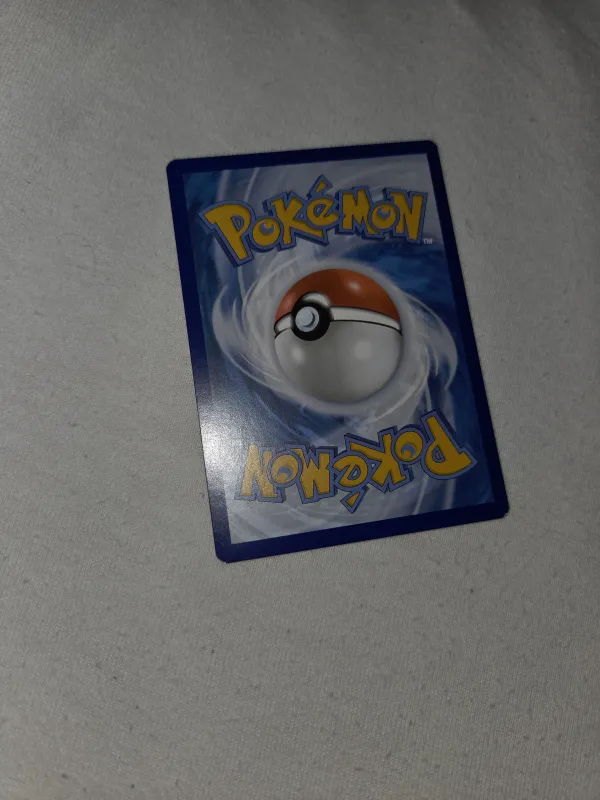 Spinda foto 2