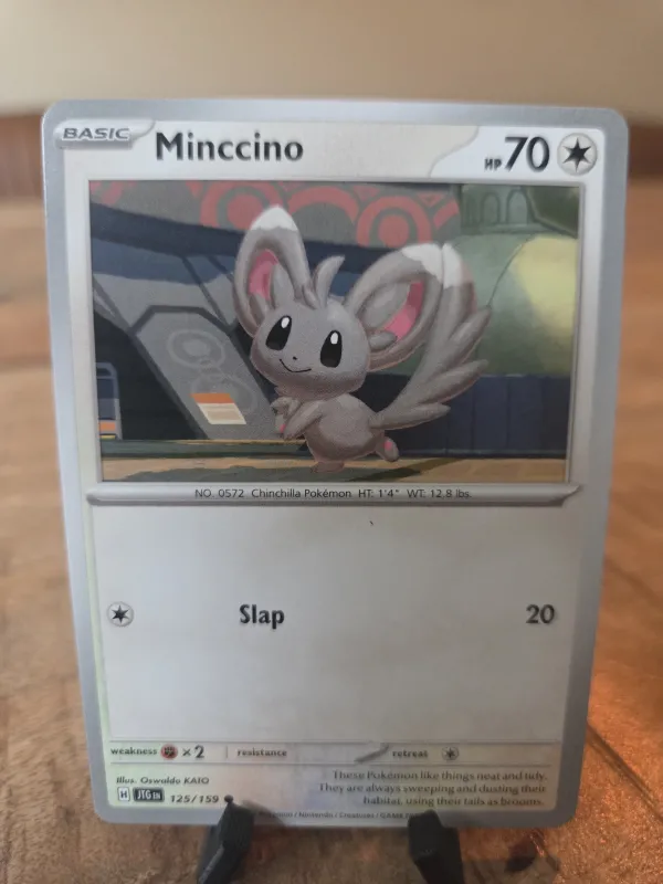 Minccino