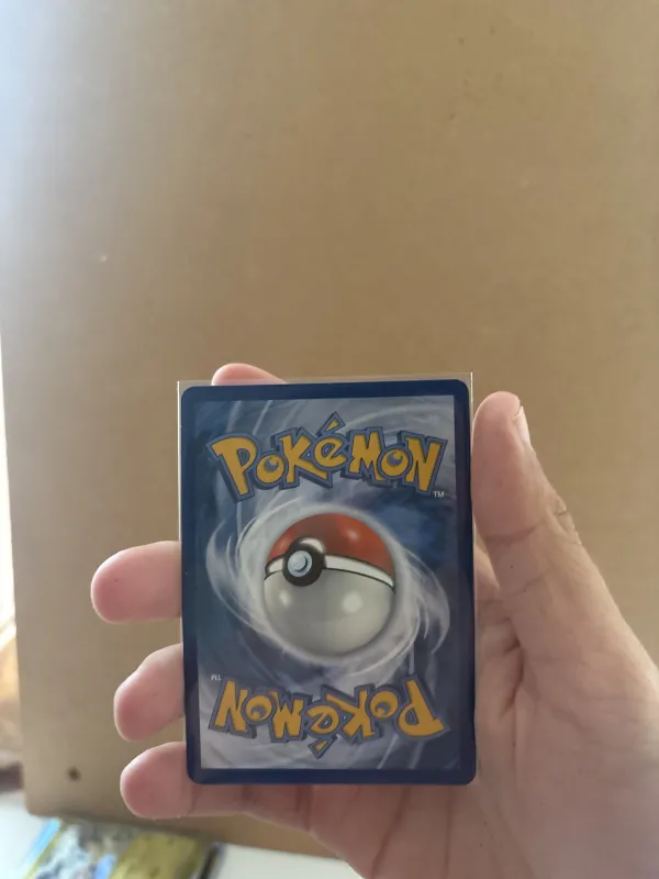 Regirock foto 2