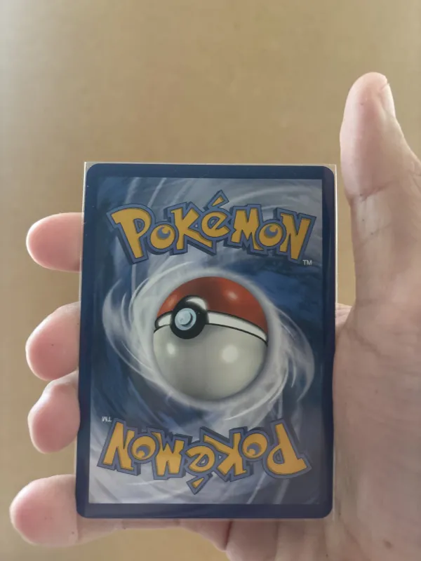 Wailord foto 2