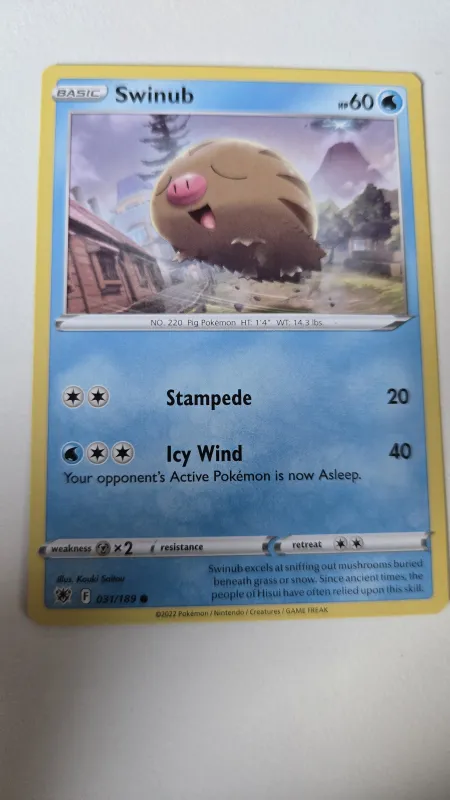 Swinub