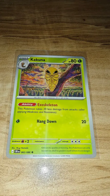 Kakuna foto 2
