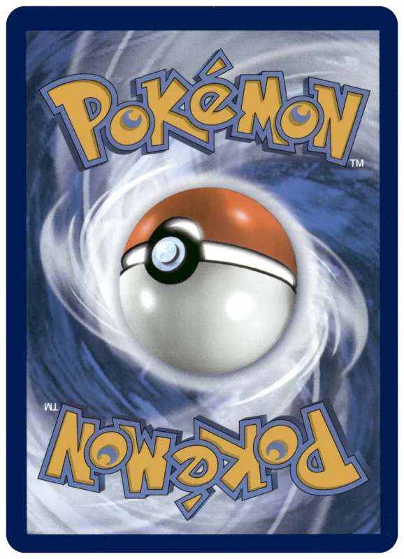Varoom foto 2