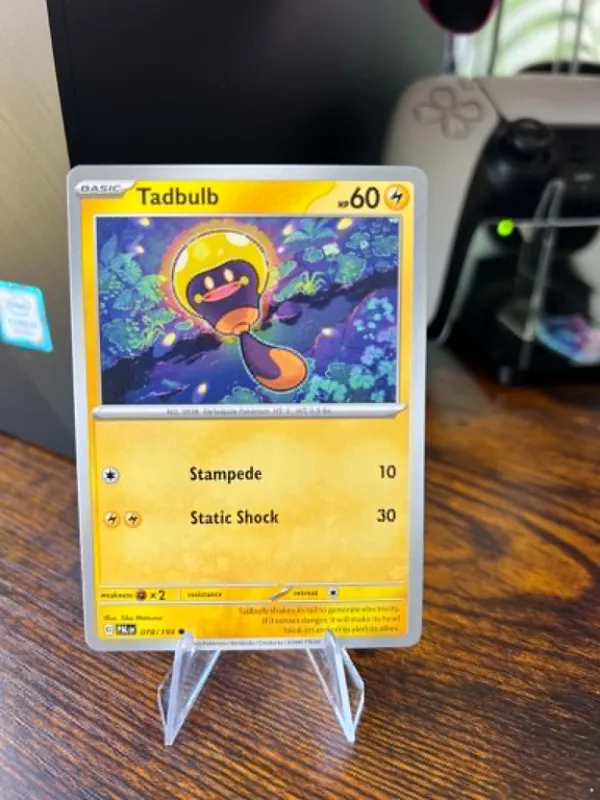 Tadbulb