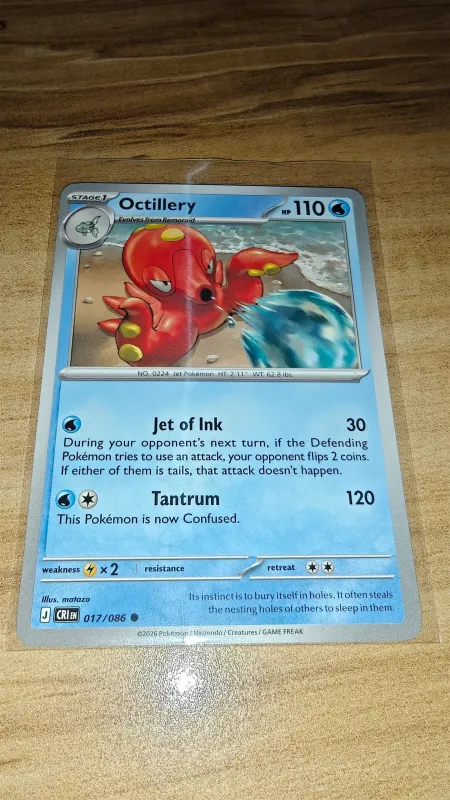 Octillery foto 2