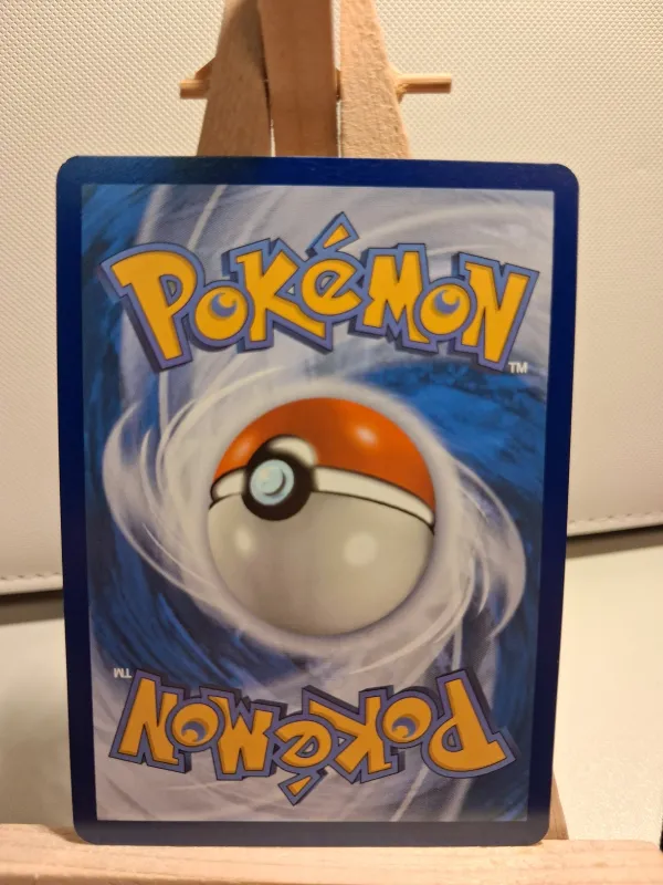 Swinub foto 2