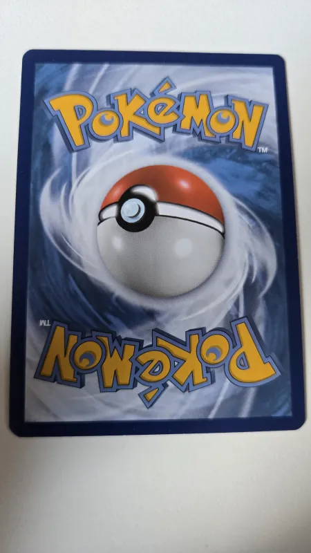 Swinub foto 2