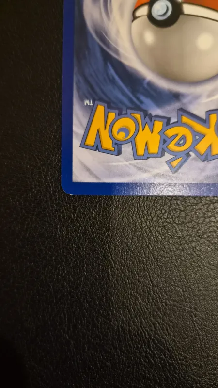 Pikachu foto 10