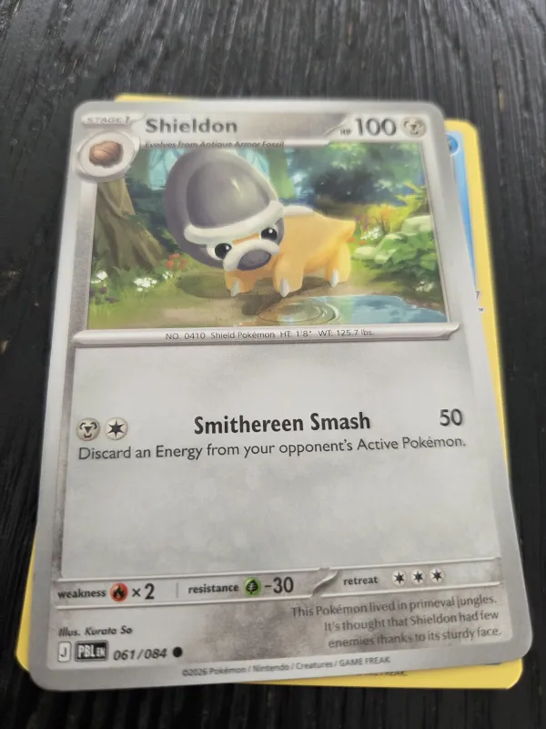 Shieldon