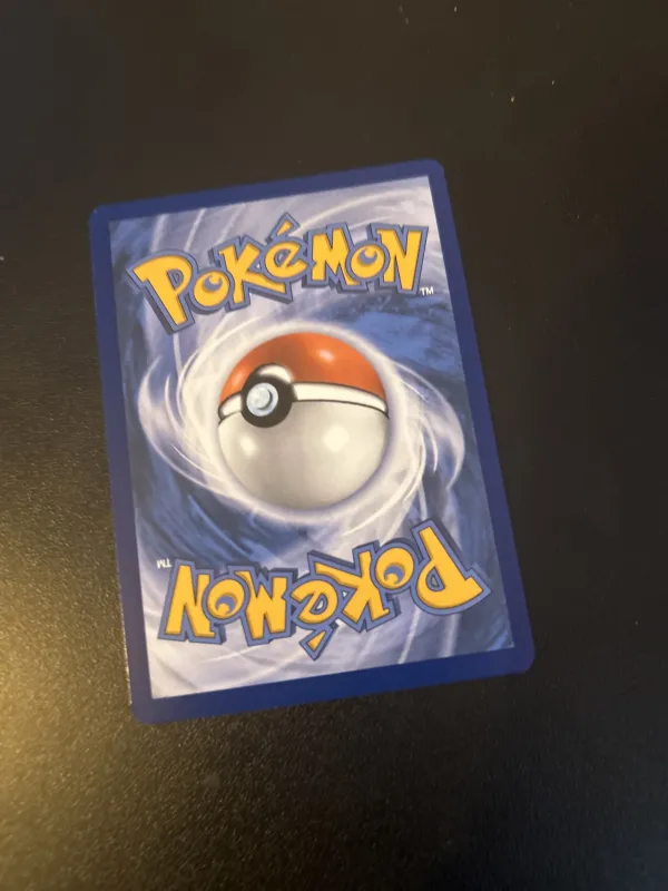 Ponyta foto 2