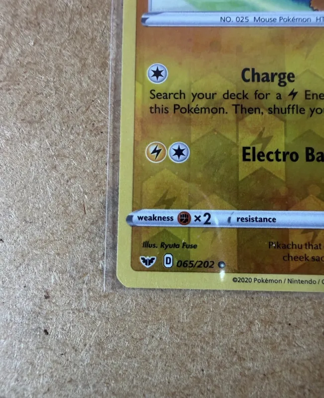 Pikachu foto 4
