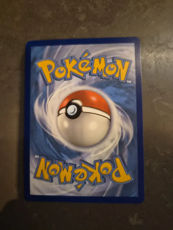 Swinub foto 2