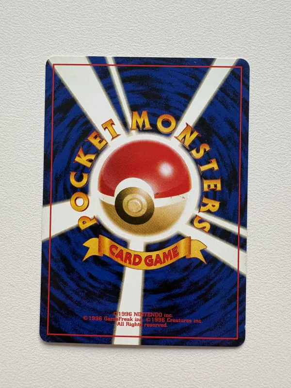 Rapidash foto 2