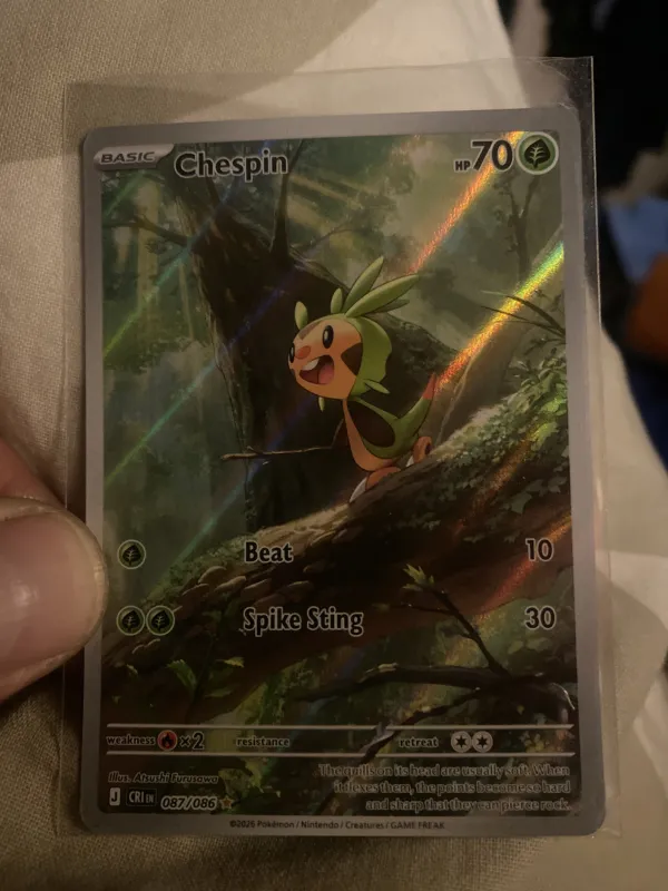 Chespin