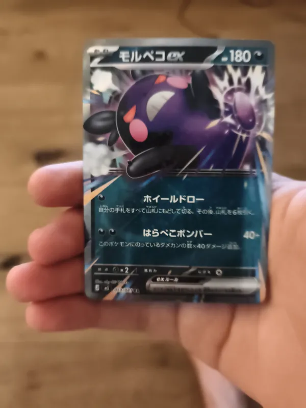 Morpeko ex