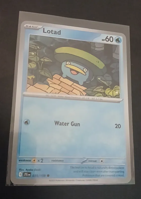 Lotad