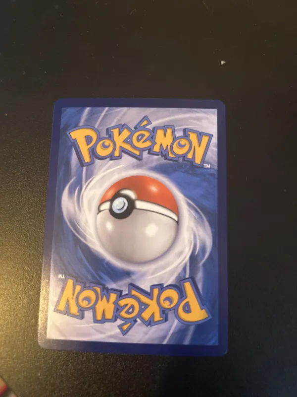 Pinsir foto 2
