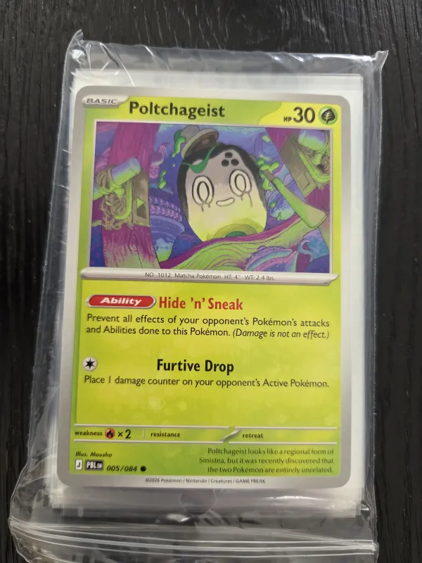Poltchageist