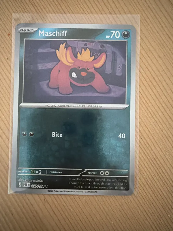 Maschiff