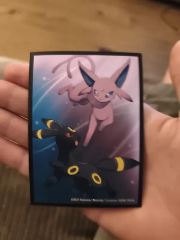 N's Zoroark ex foto 3