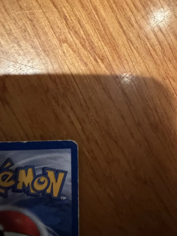 Articuno foto 10