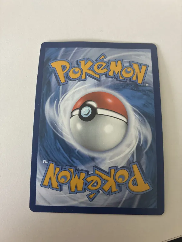 Pachirisu foto 2