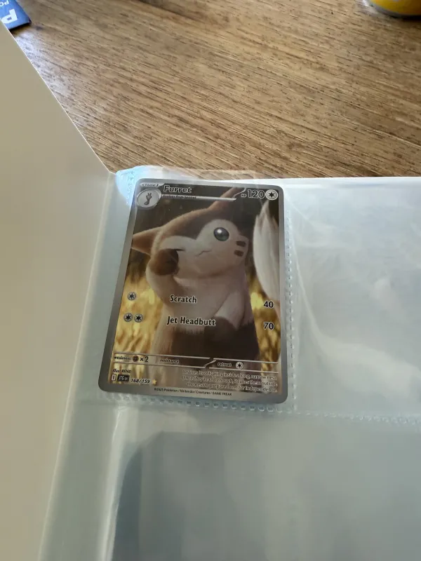 Furret