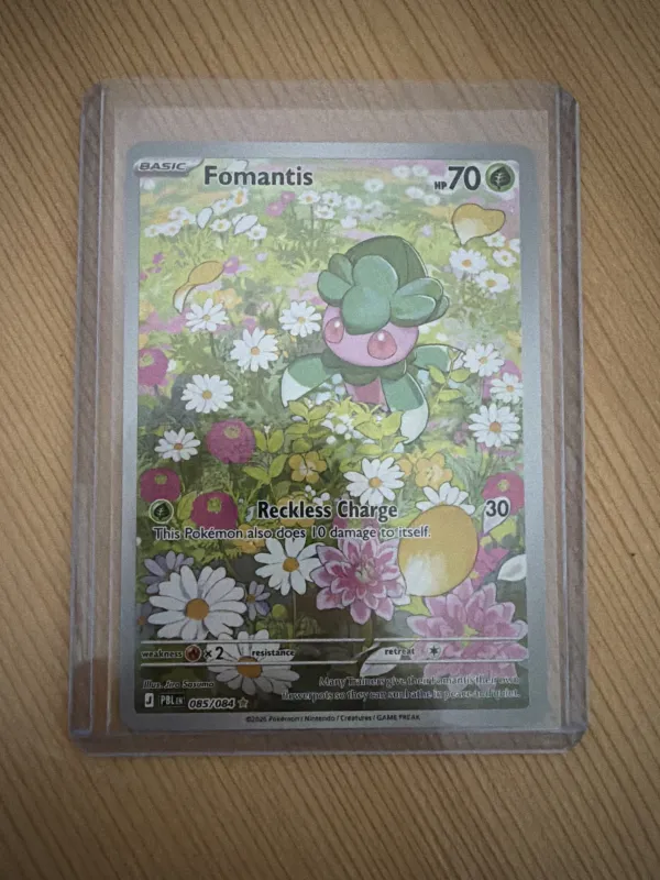 Fomantis