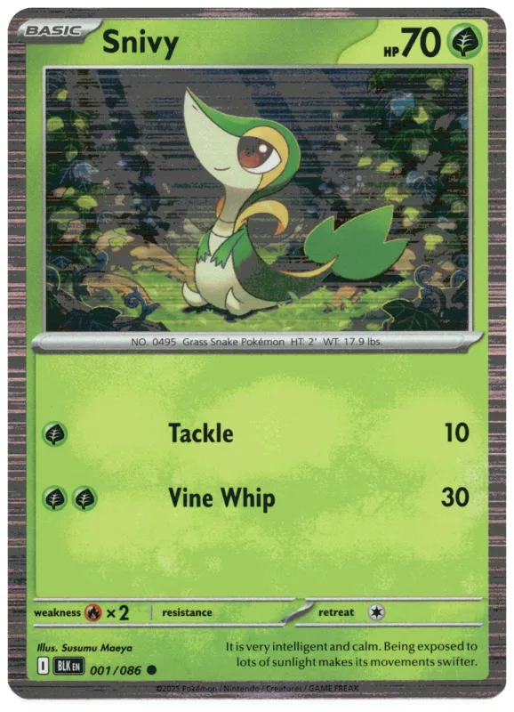 Snivy
