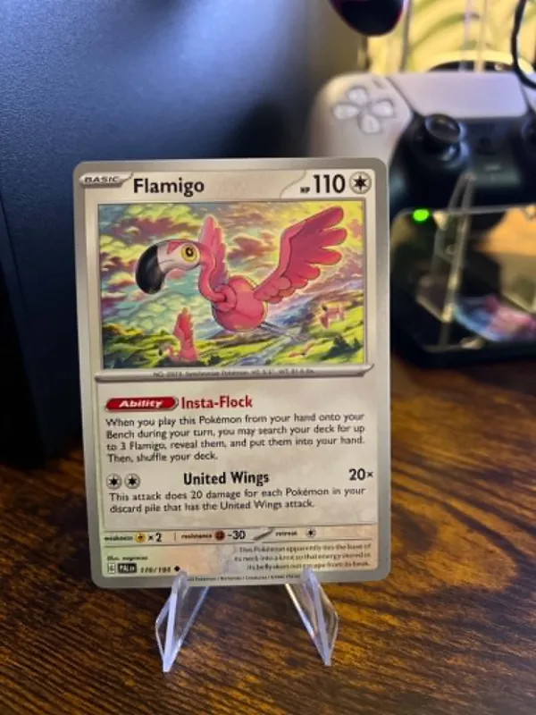 Flamigo