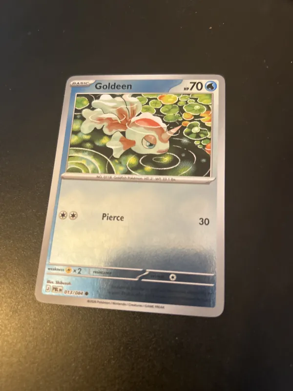 Goldeen