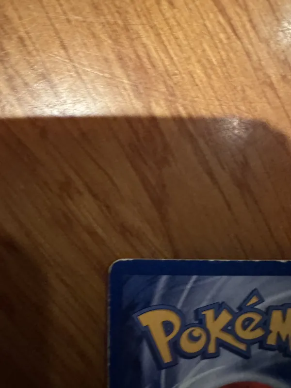 Articuno foto 9