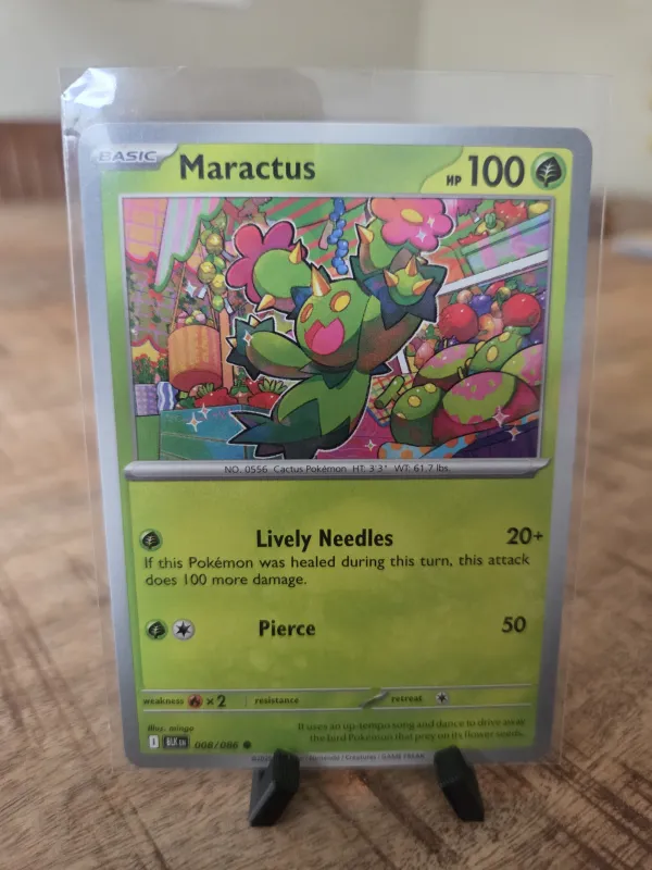 Maractus
