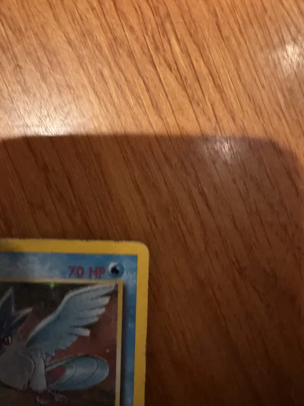 Articuno foto 5