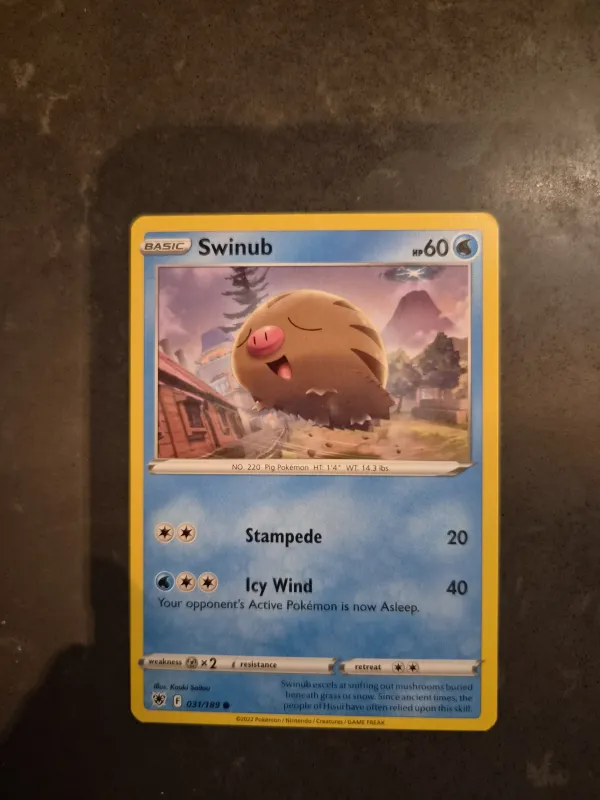 Swinub