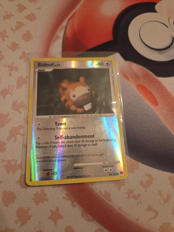 Bidoof