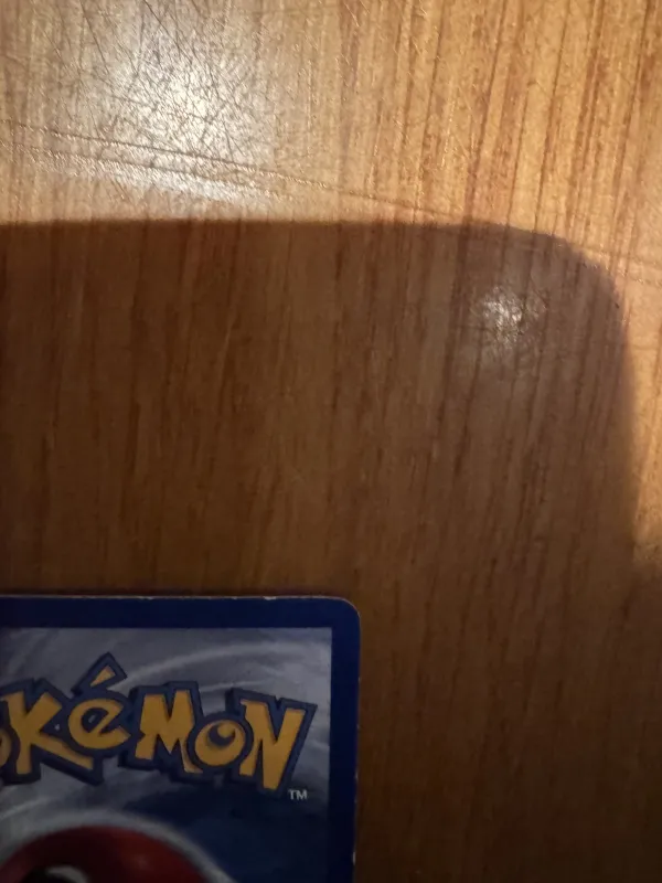 Kangaskhan foto 6