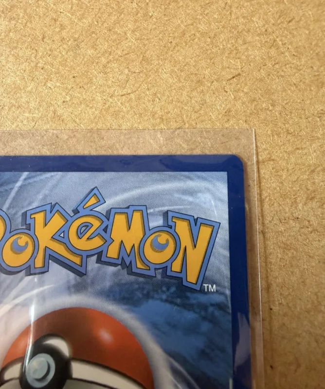 Pikachu foto 9