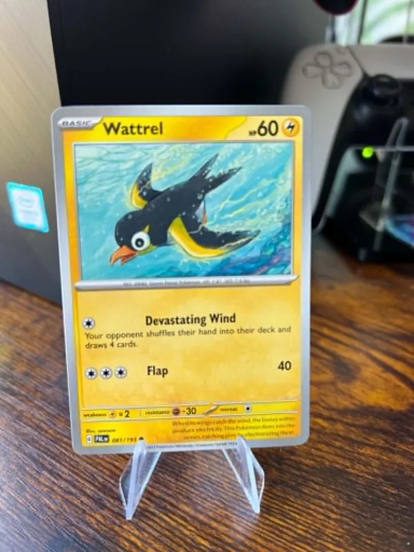 Wattrel