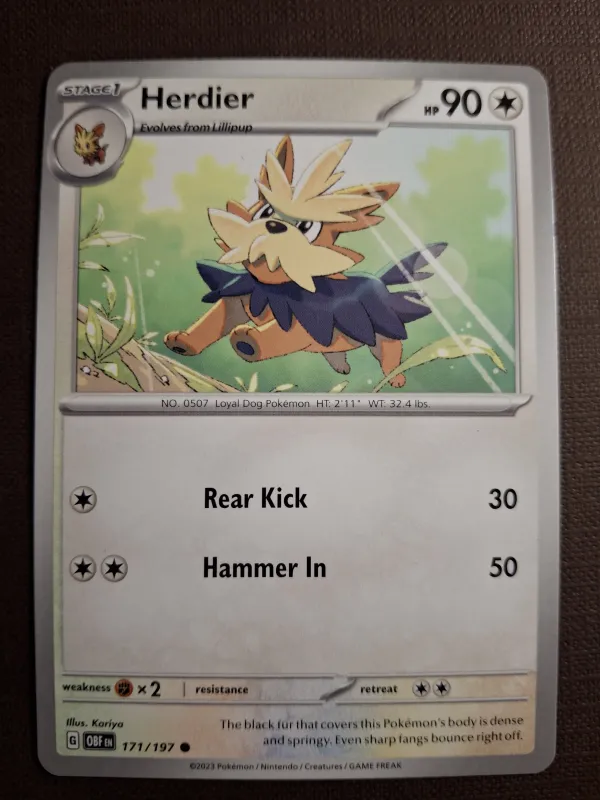 Herdier