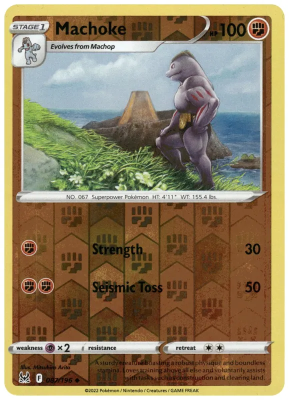 Machoke foto 2